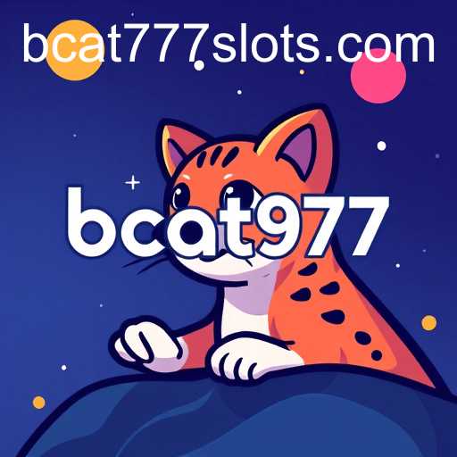 About Us: Discover bcat777